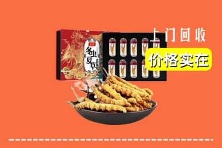 凉山金阳县回收冬虫夏草